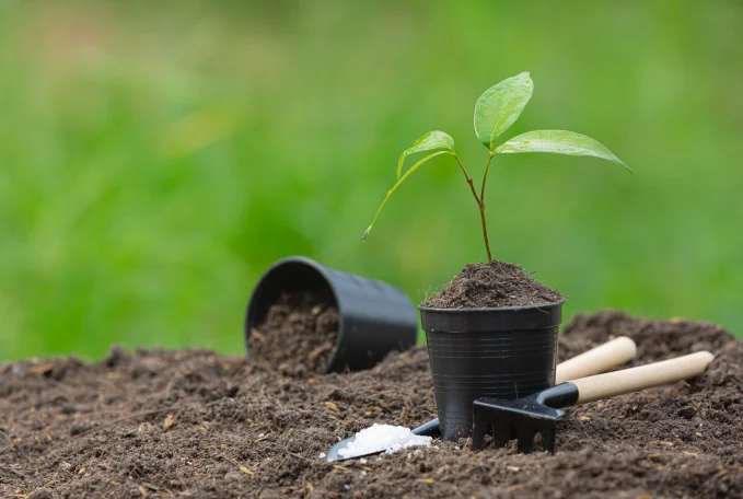 How to Market Your Startup Narrative for Sustainable Business Growth Banner